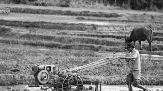 Laos' busy farming season
